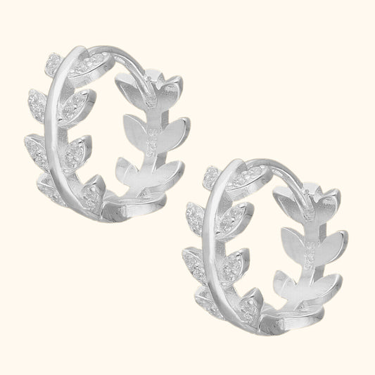 Argollas espiga plata y circones